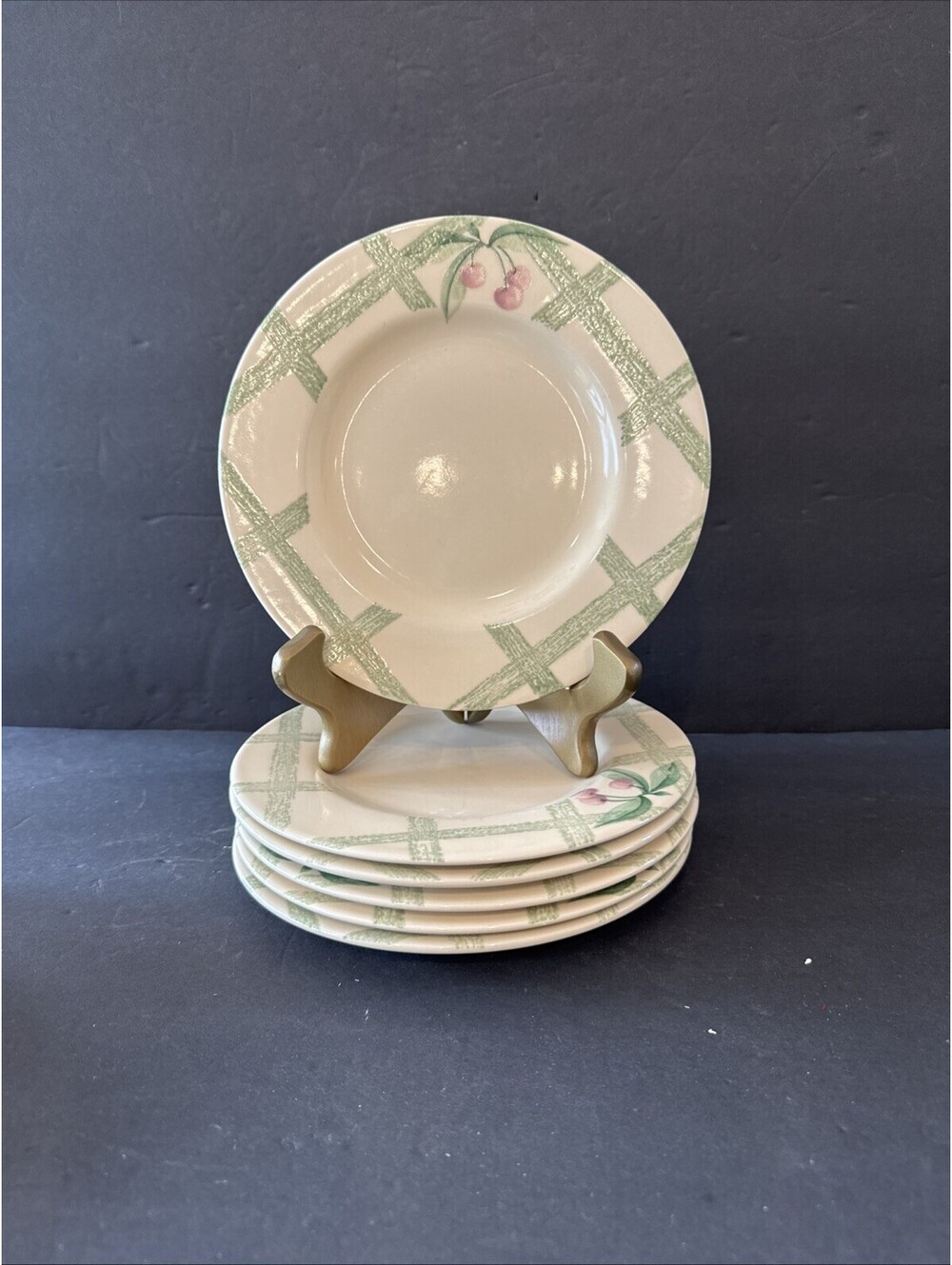 Set Of 6 Pfaltzgraff Garden Party 8 3/8” Salad Plates